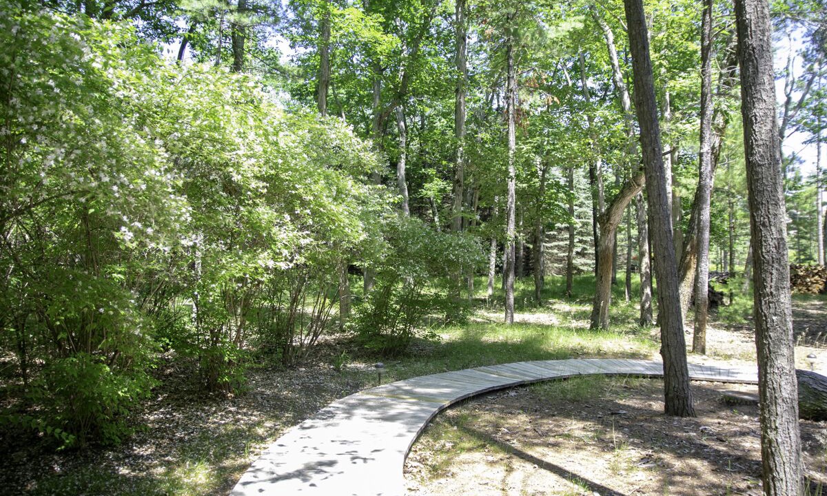 Photo of Outdoor in Glen Arbor