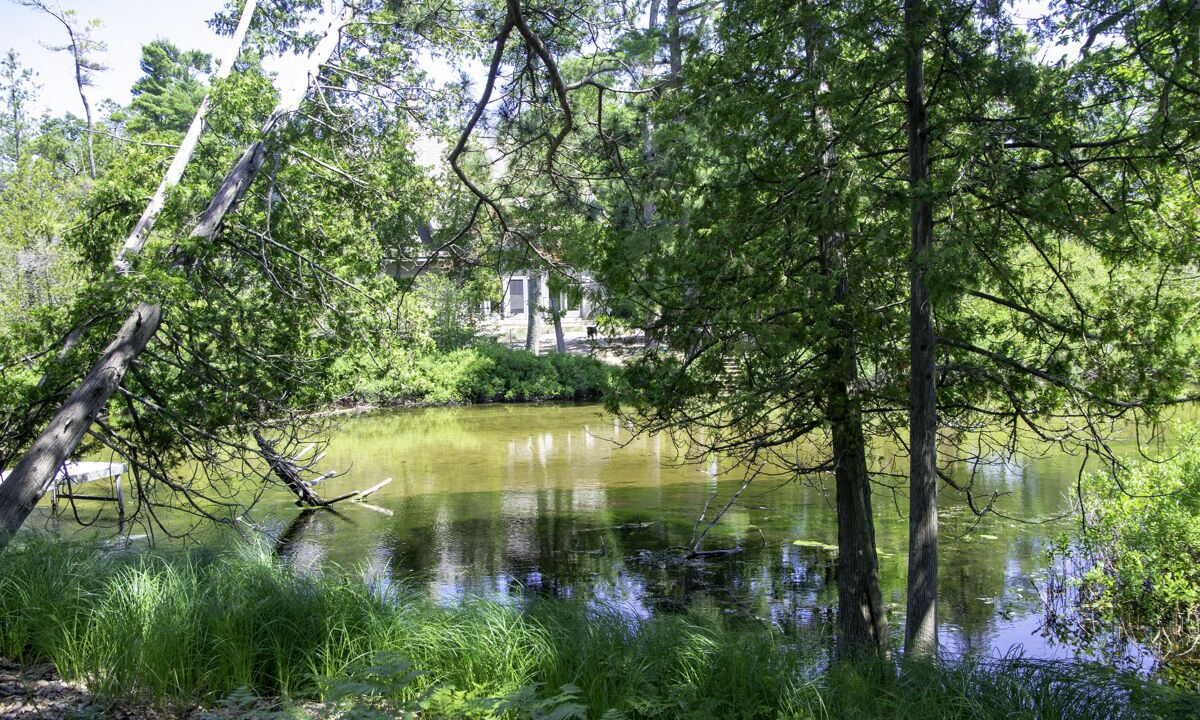 Photo of Outdoor in Glen Arbor