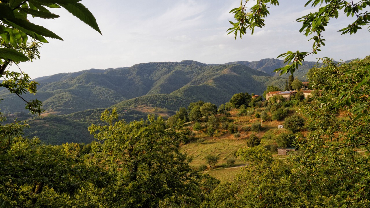 Photo of Outdoor in Vicchio