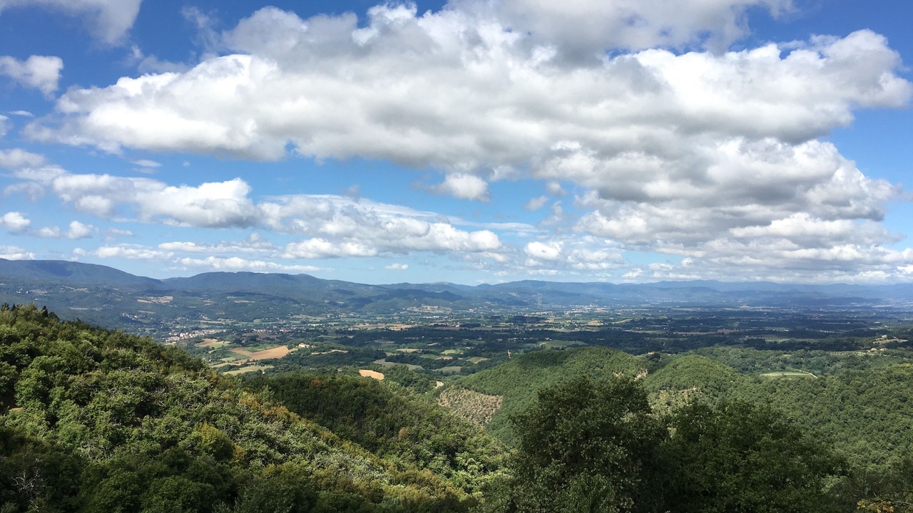 Photo of Outdoor in Villore