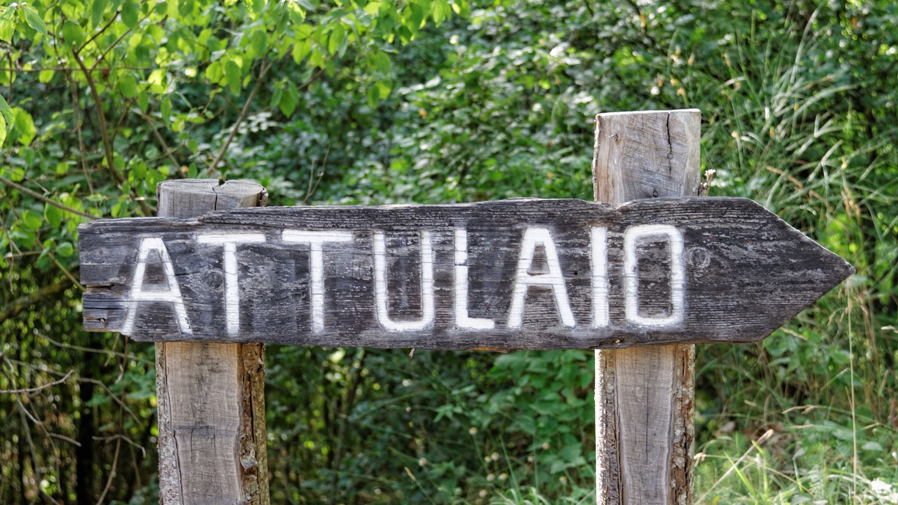 Photo of Outdoor in Villore