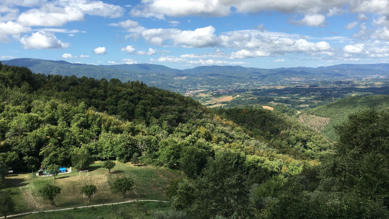 Photo of Outdoor in Villore