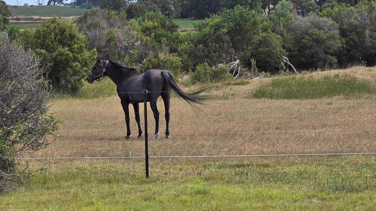 Photo of Others in French Island