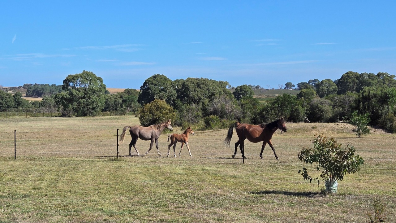 Photo of Others in French Island