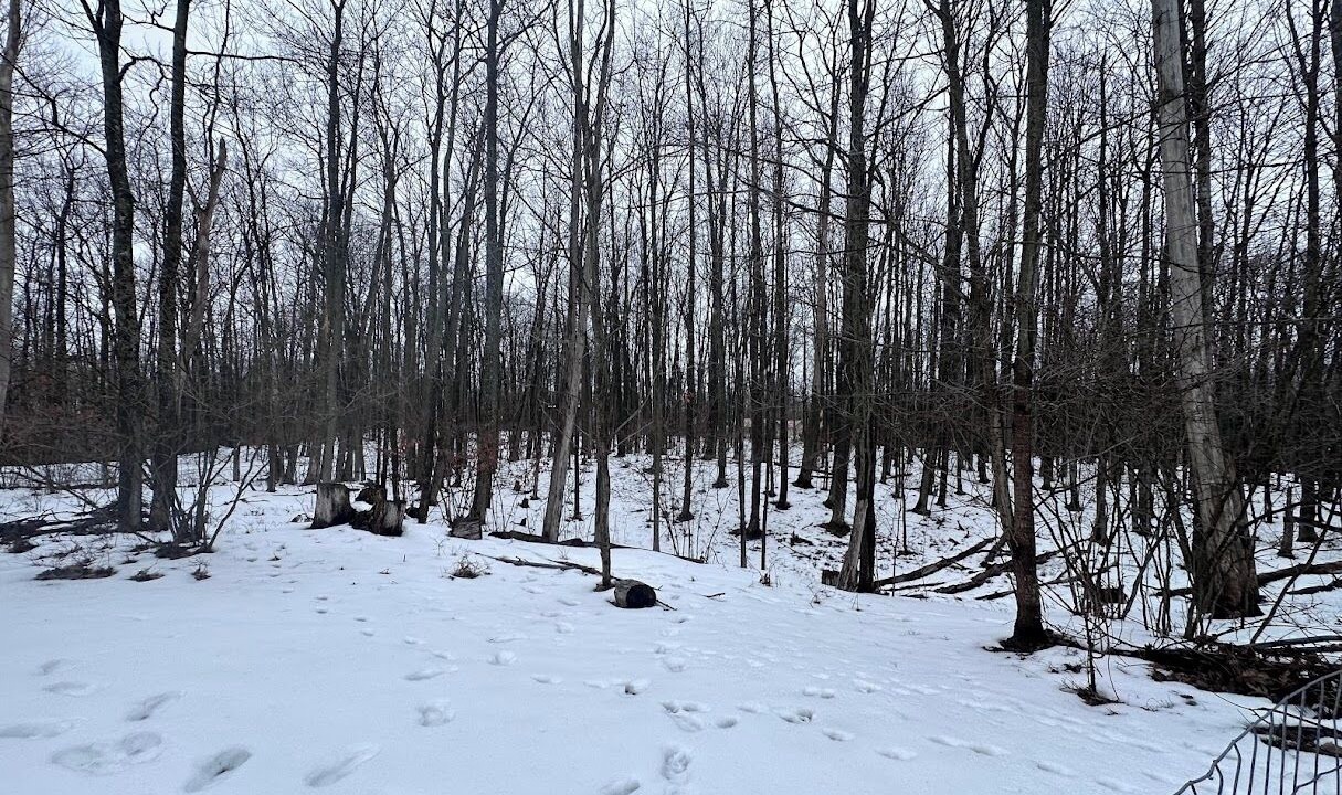 Photo of Others in Higgins Lake