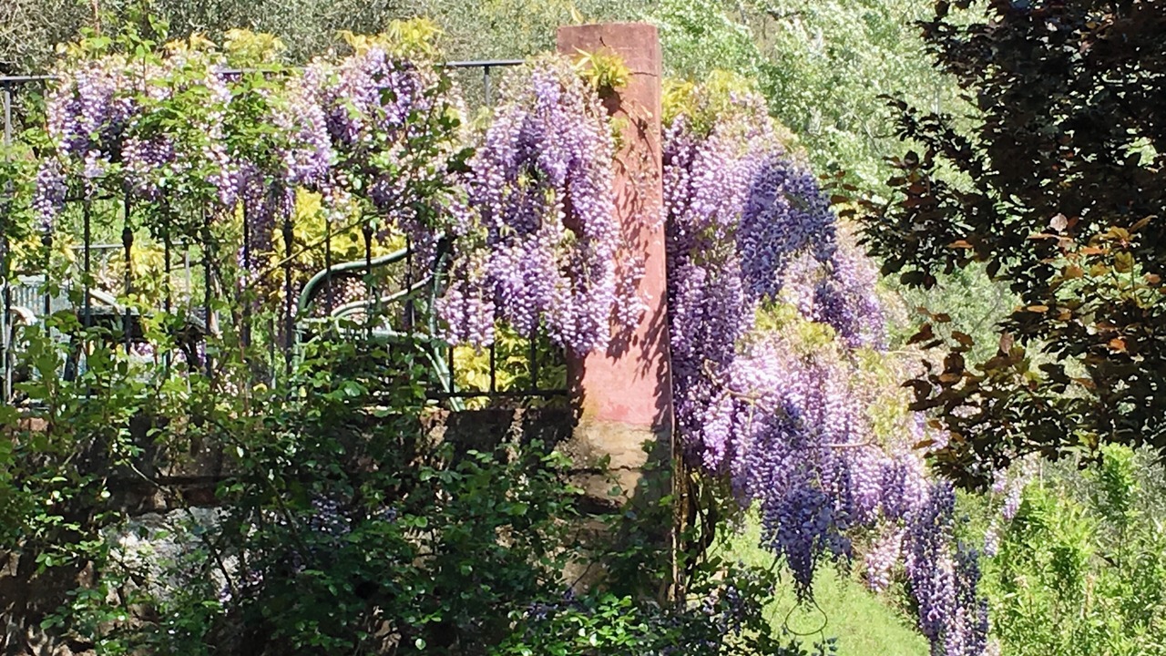 Photo of Outdoor in Matraia