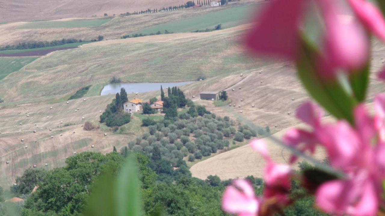 Photo of Others in Castiglione d'Orcia