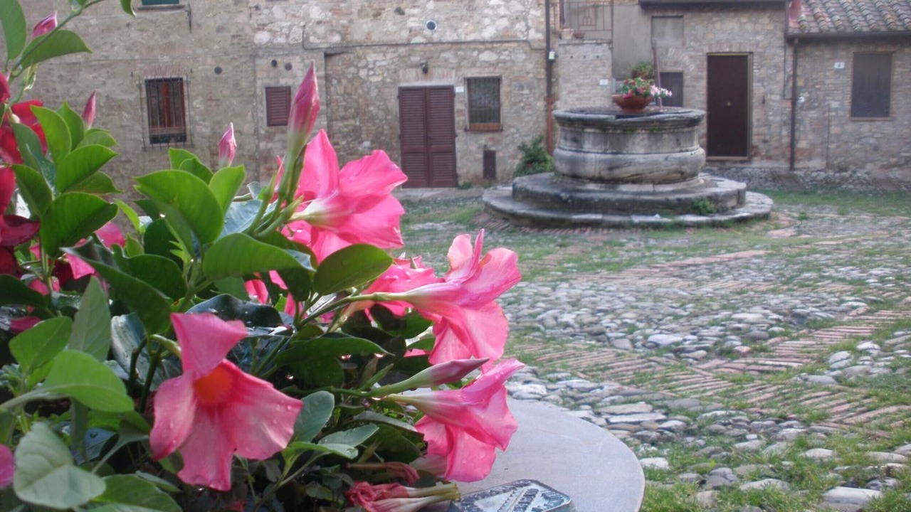 Photo of Outdoor in Castiglione d'Orcia