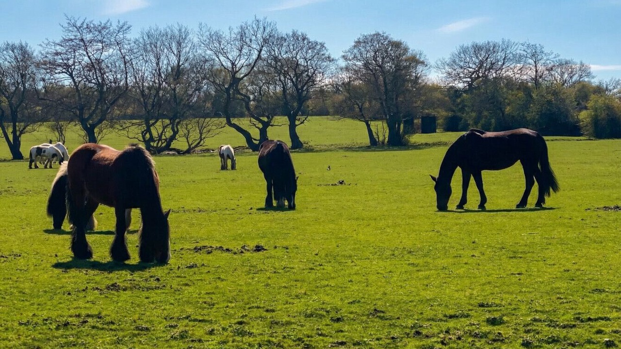 Photo of Others in Cradley