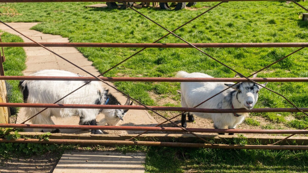 Photo of Others in Cradley