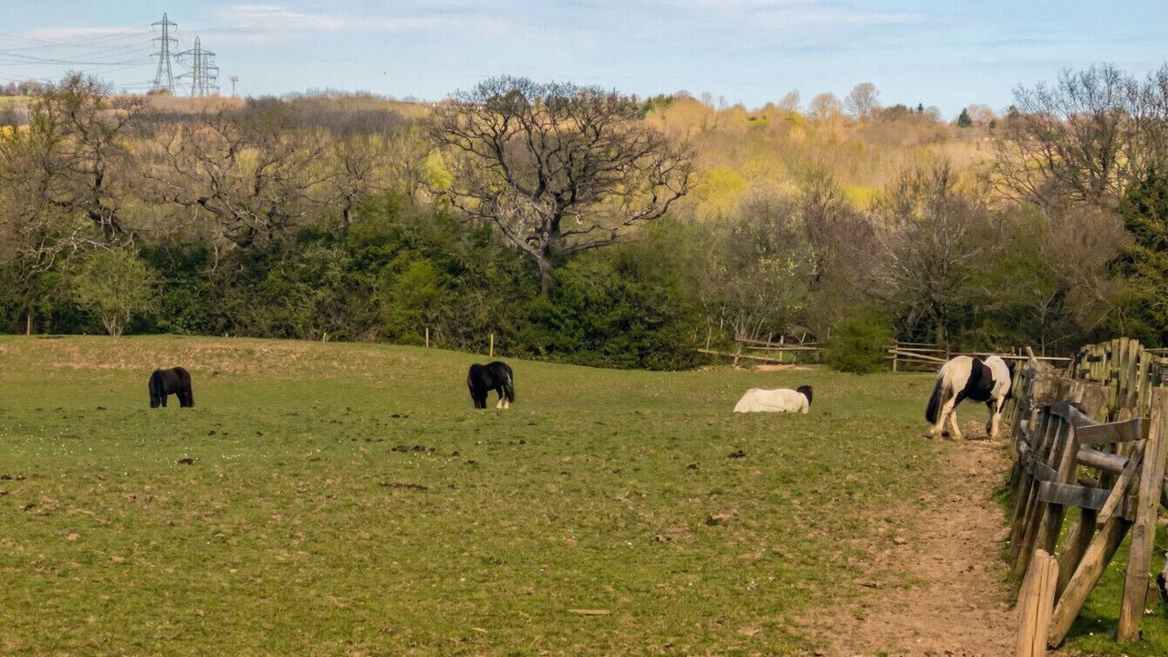Photo of Others in Cradley
