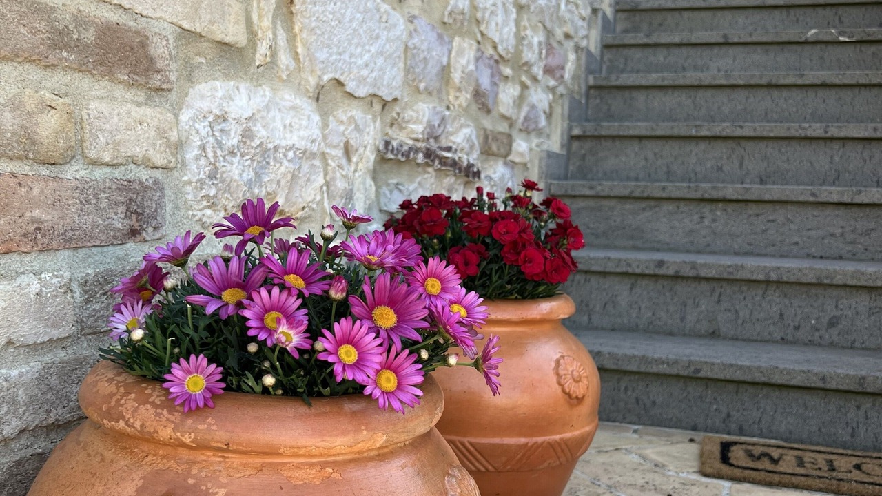 Photo of Outdoor in Castelnuovo