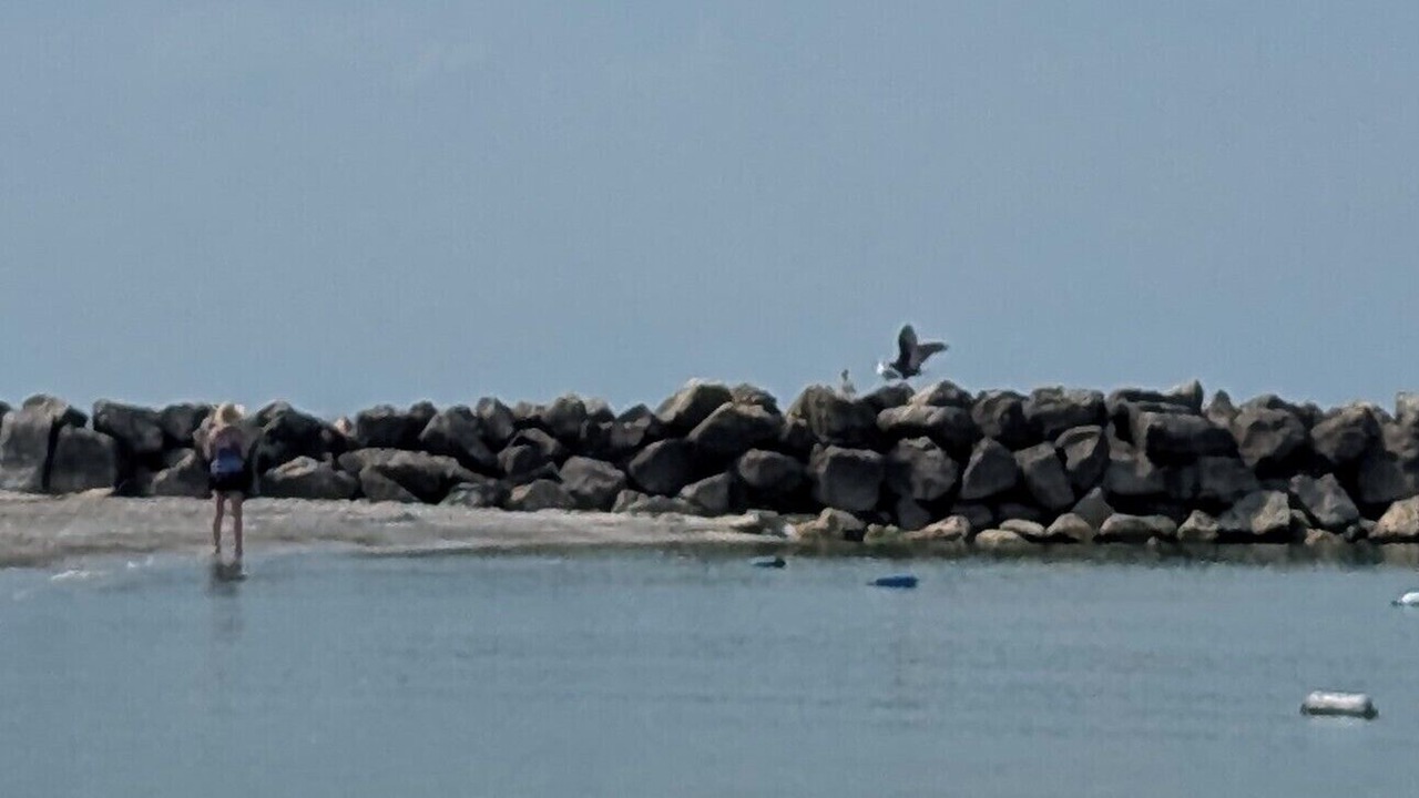 Photo of Others in Oak Harbor