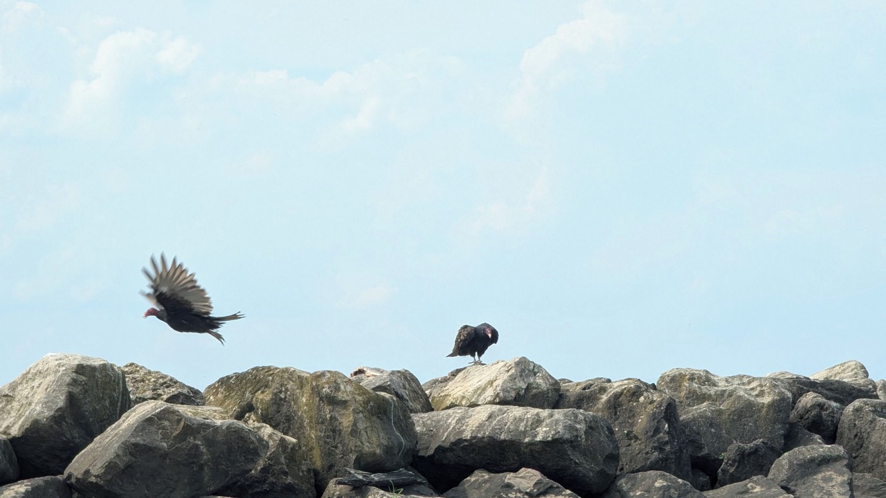 Photo of Others in Oak Harbor