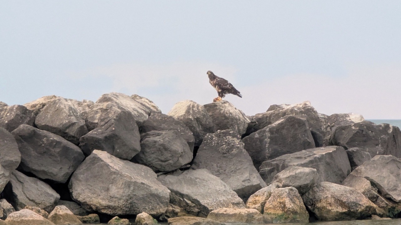 Photo of Others in Oak Harbor