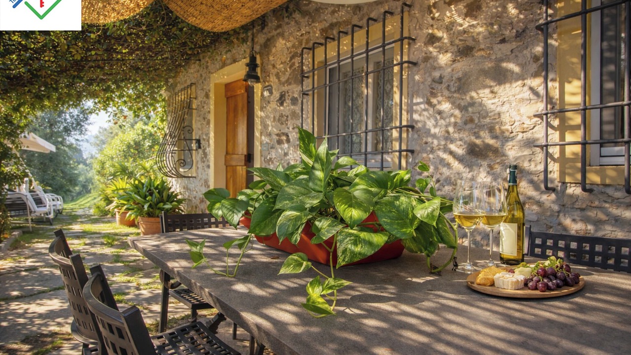 Photo of Outdoor in Ciciana