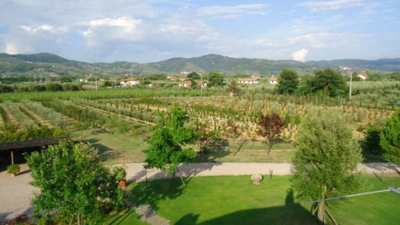 Photo of Outdoor in Monsummano Terme