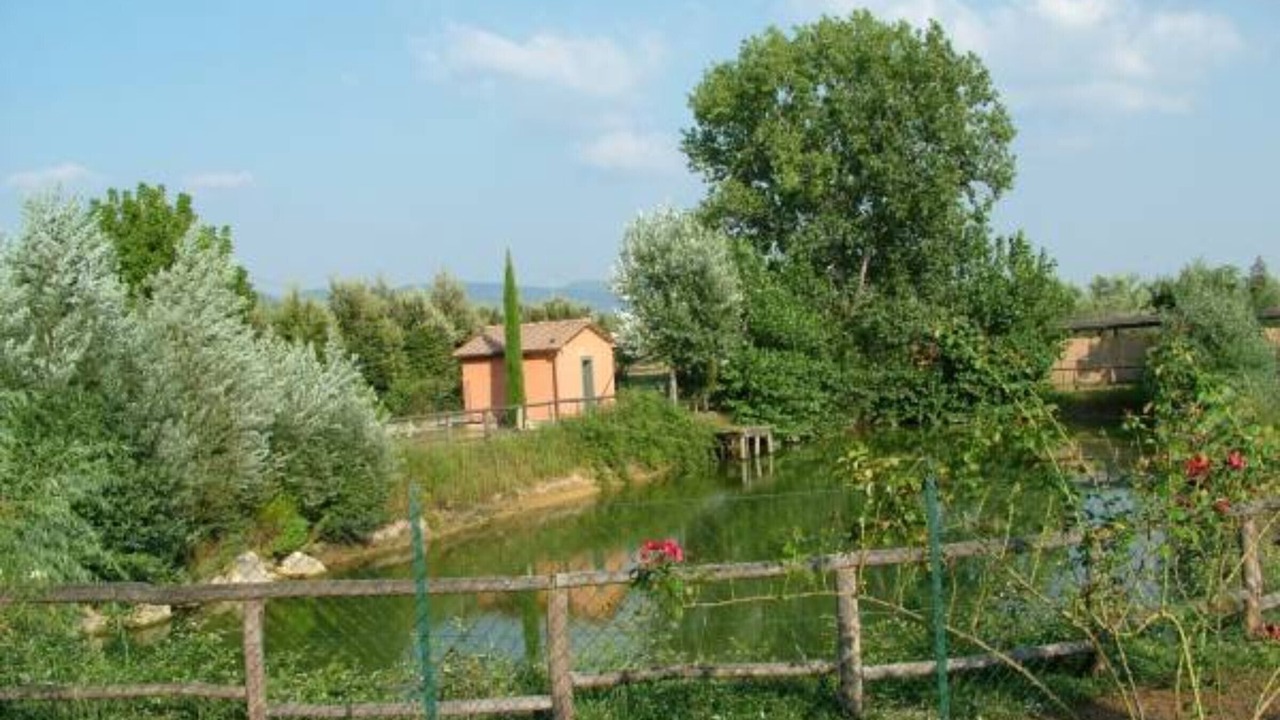 Photo of Outdoor in Monsummano Terme