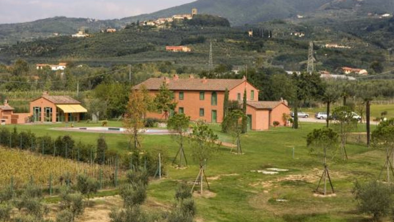 Photo of Others in Monsummano Terme