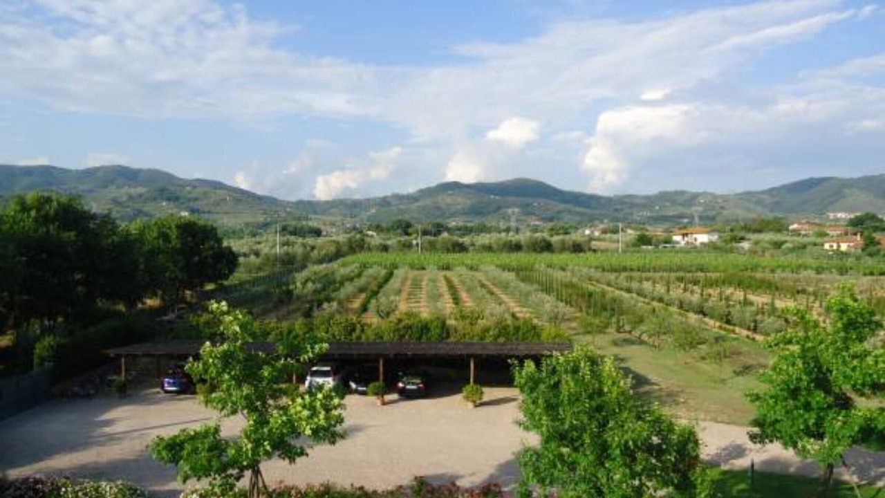 Photo of Others in Monsummano Terme