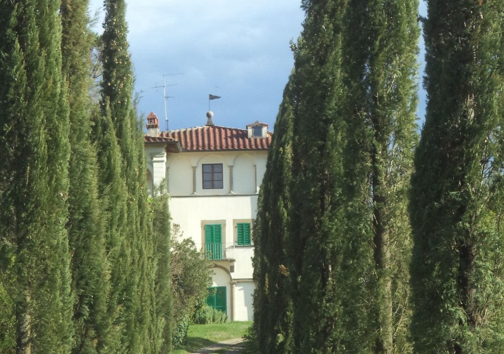 Photo of Others in Arezzo