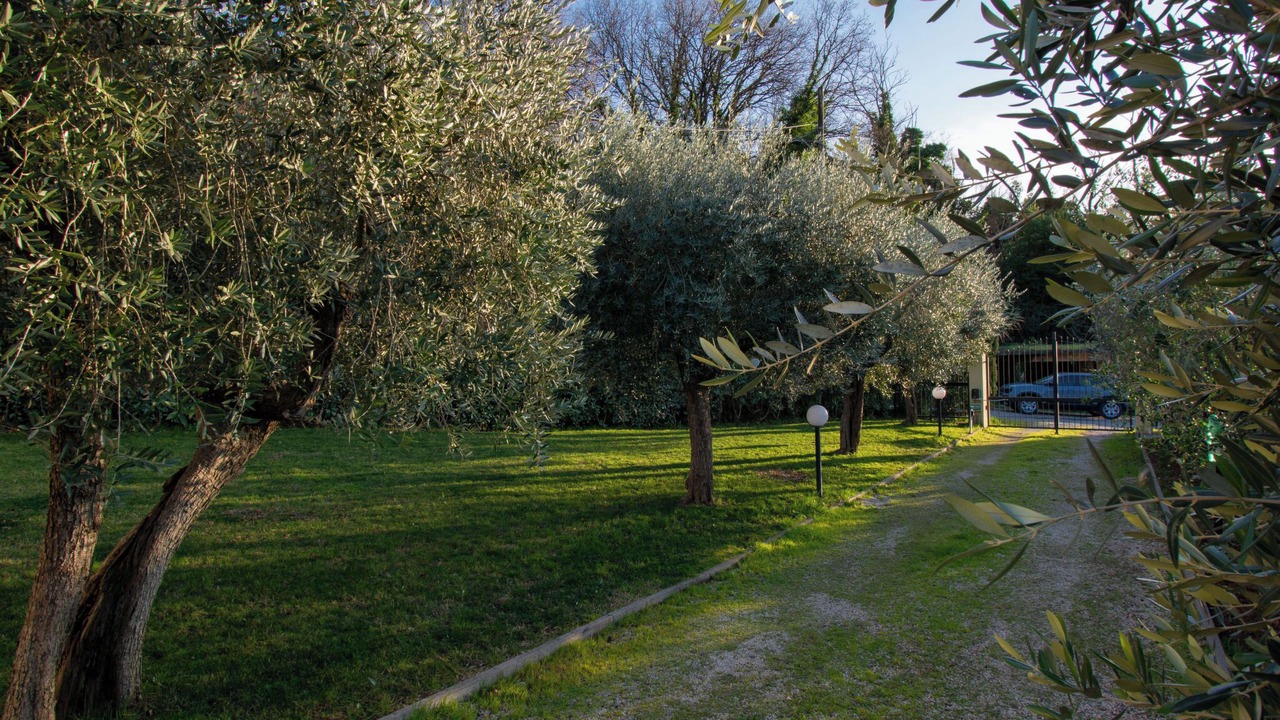 Photo of Others in Monsummano Terme