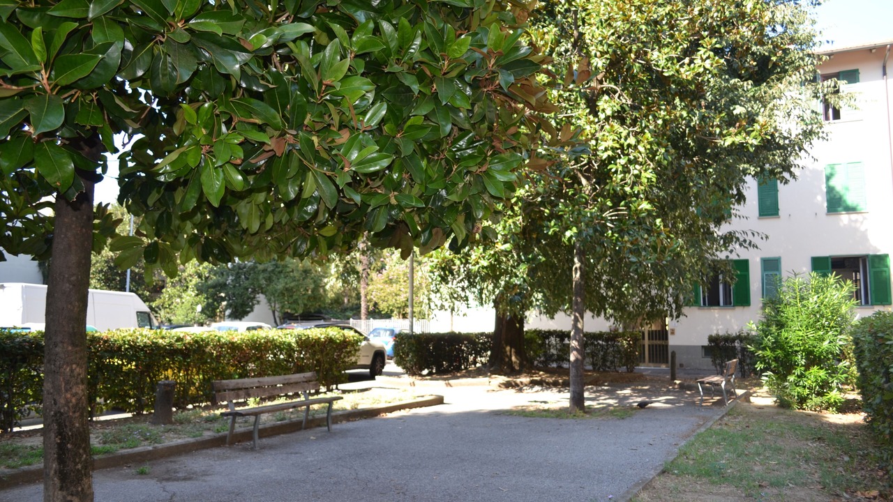 Photo of Outdoor in Peretola