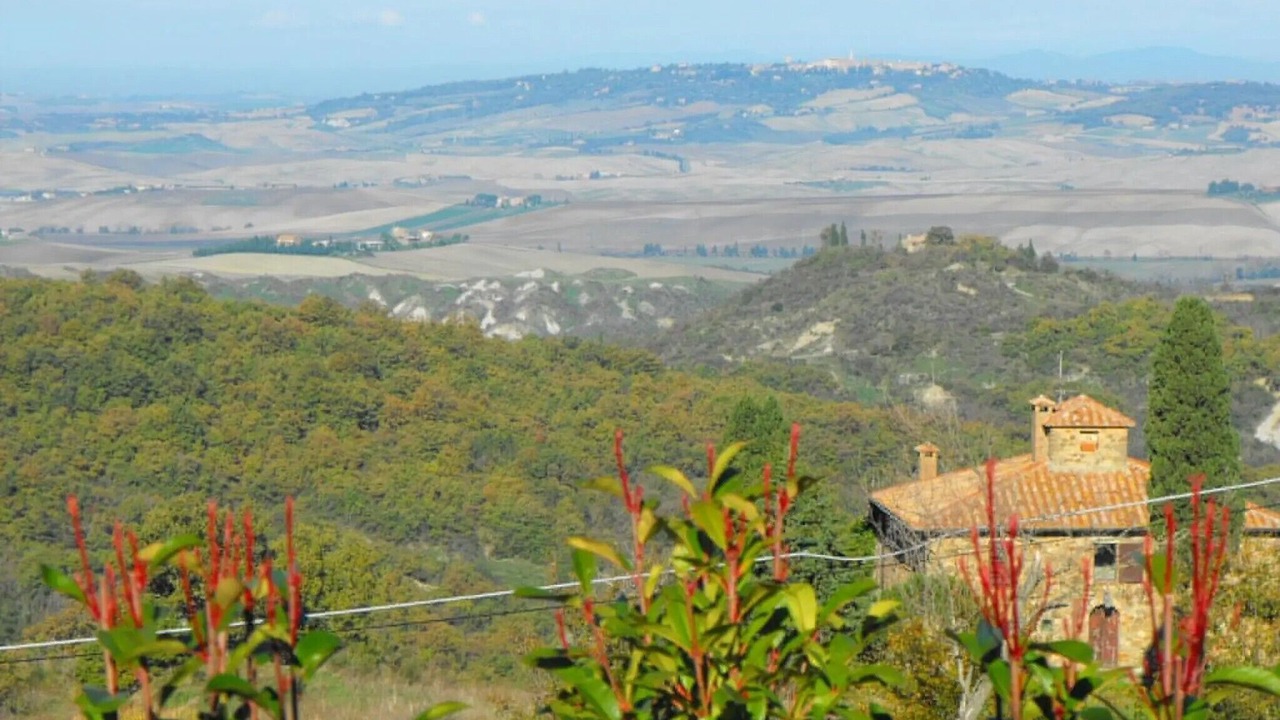 Photo of Others in Contignano