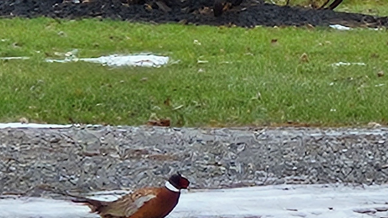 Photo of Others in Oak Harbor