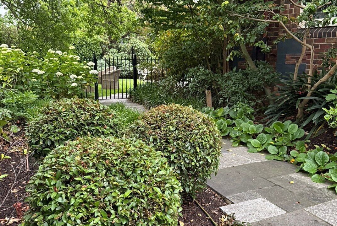 Photo of Outdoor in Toorak