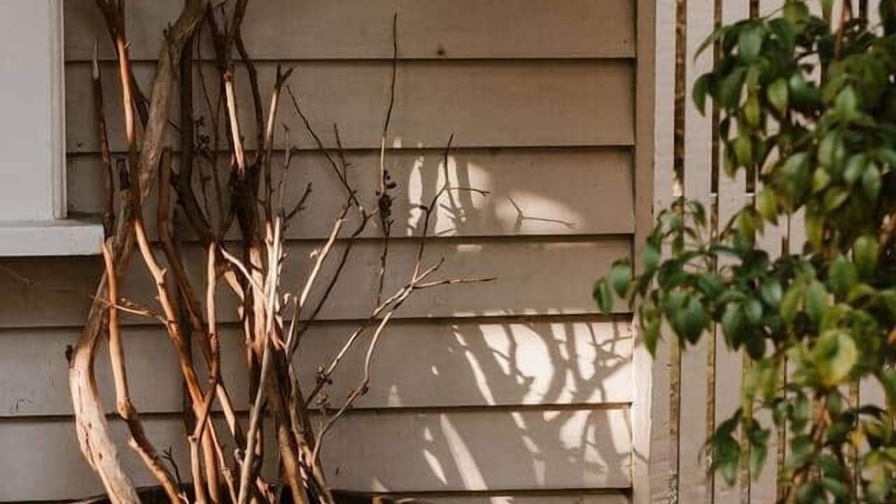 Photo of Others in Wonthaggi