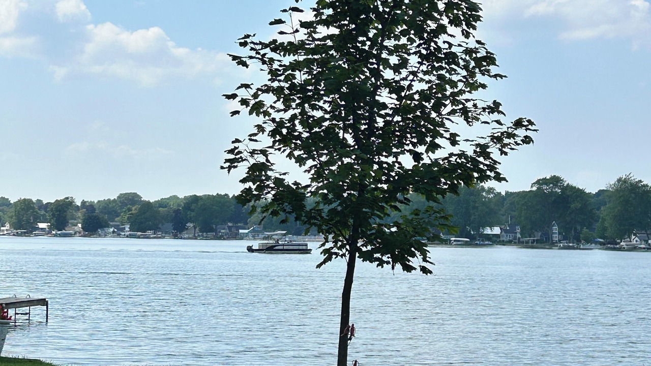 Photo of Others in Lake Odessa