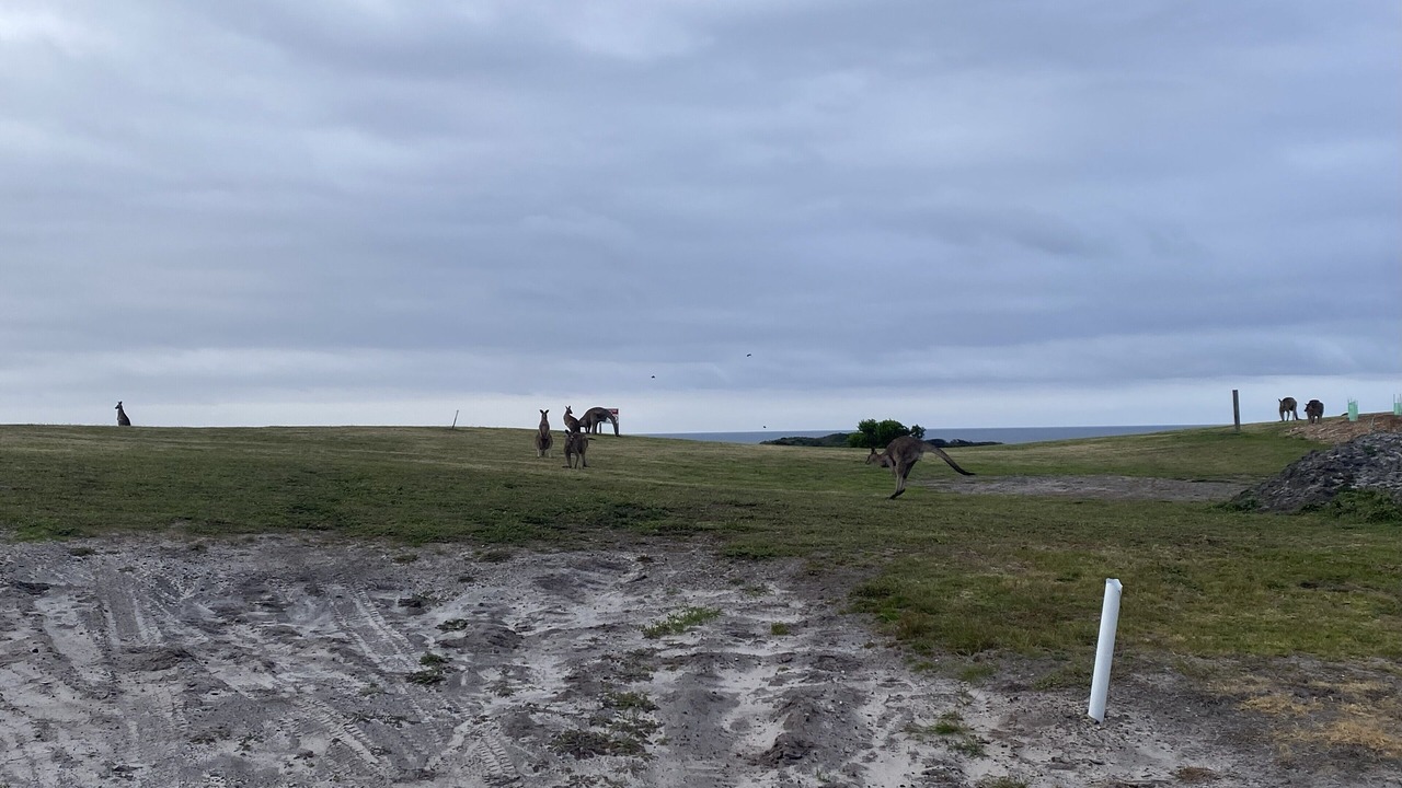 Photo of Others in Cape Paterson