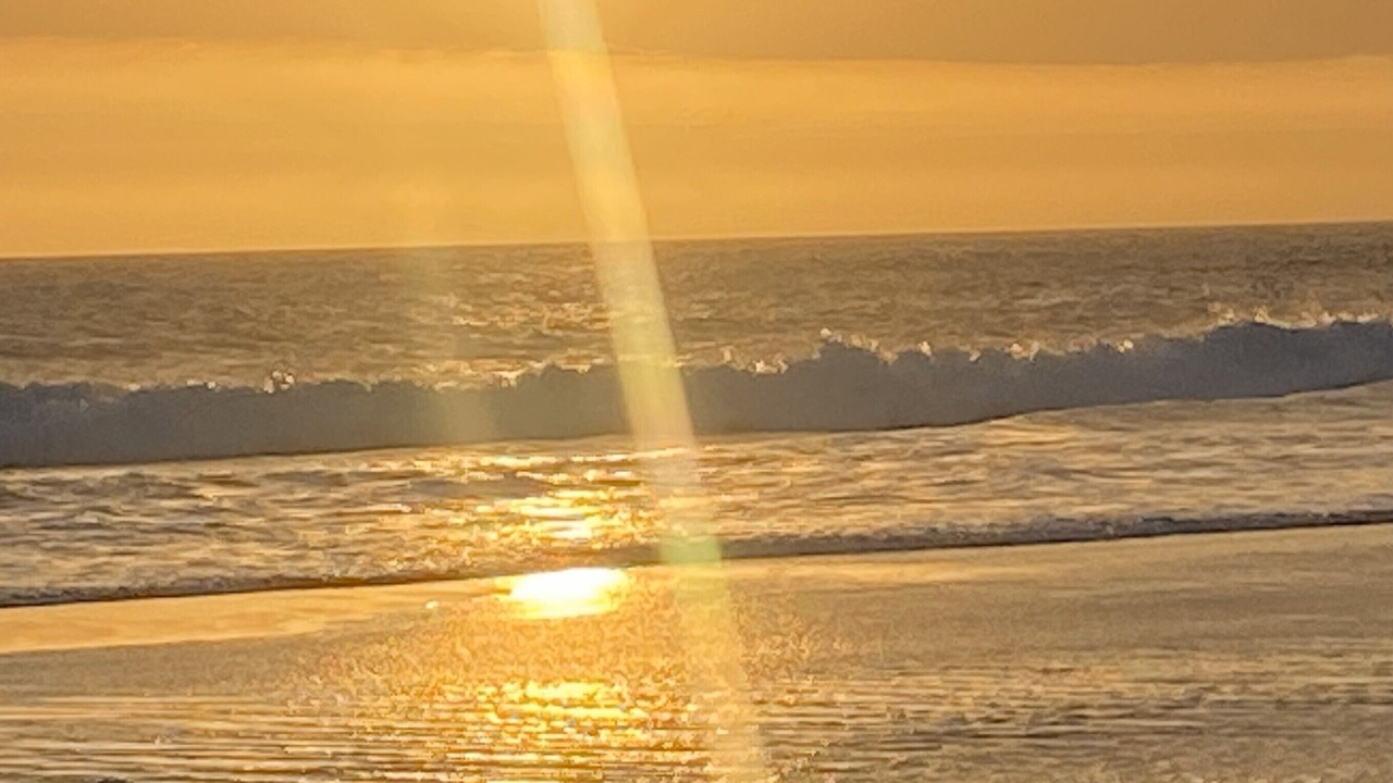 Photo of Others in Cape Paterson