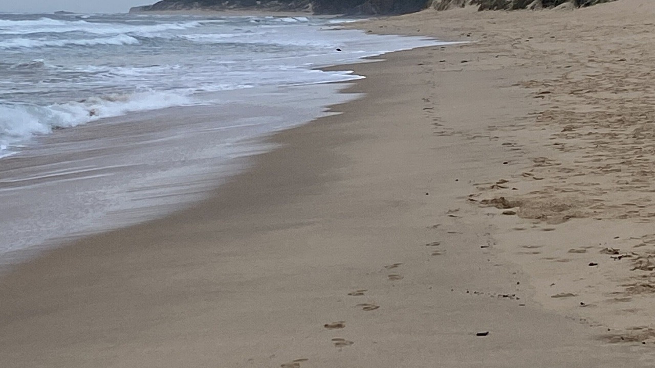 Photo of Others in Cape Paterson