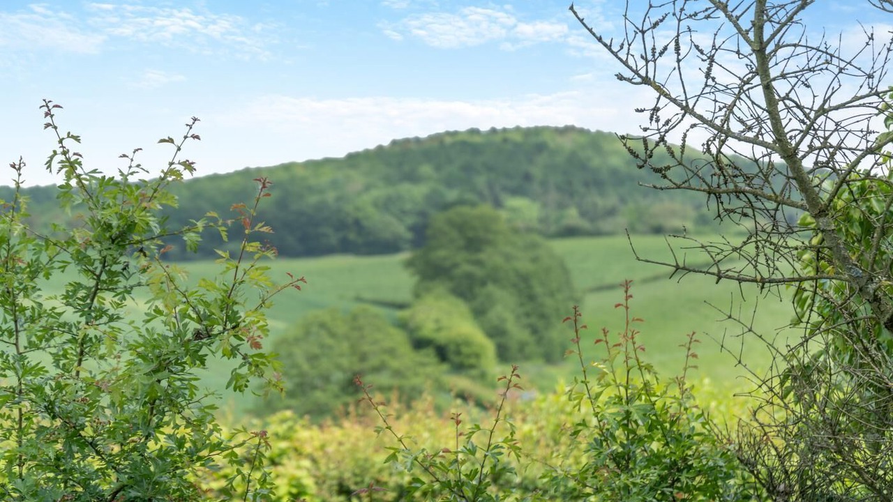 Photo of Others in Monmouth