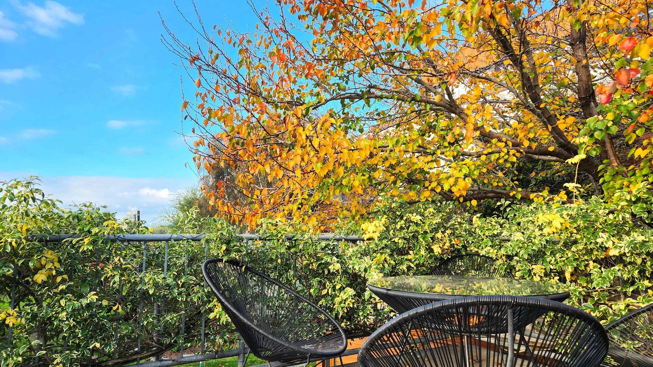 Photo of Outdoor in Highett