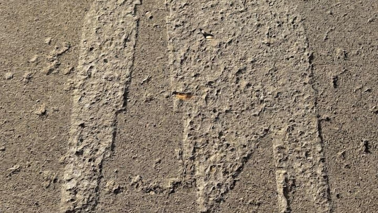 Photo of Outdoor in Bay City