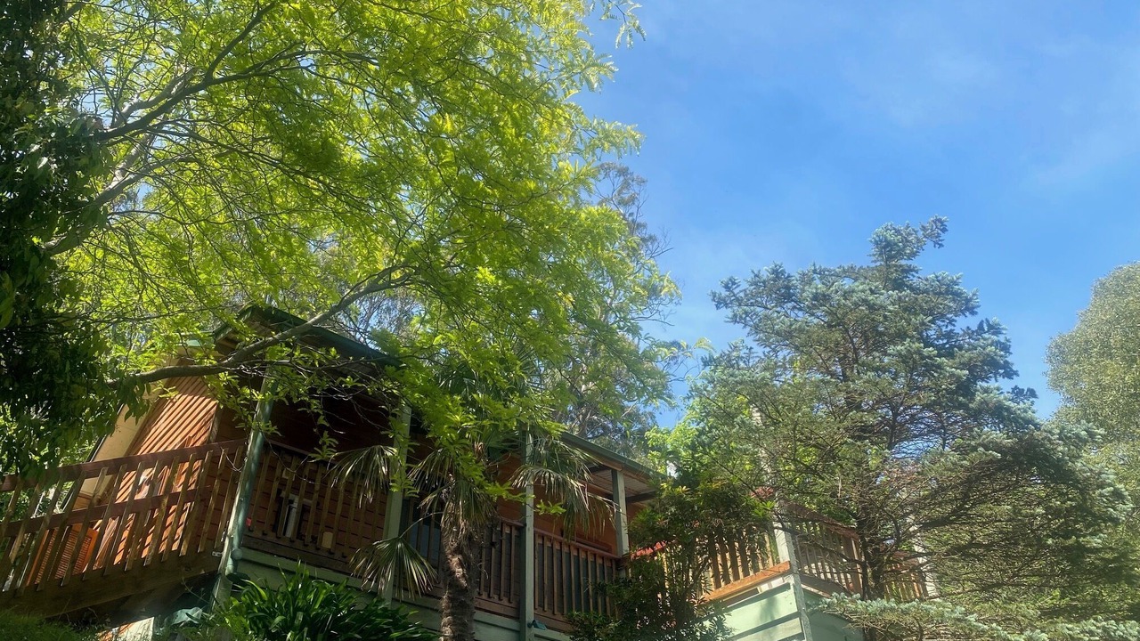 Photo of Outdoor in Warburton