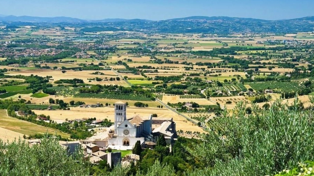Photo of Others in Tordibetto
