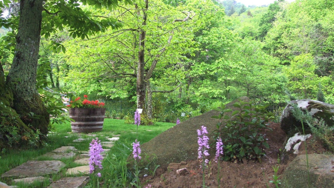 Photo of Others in Val Canina
