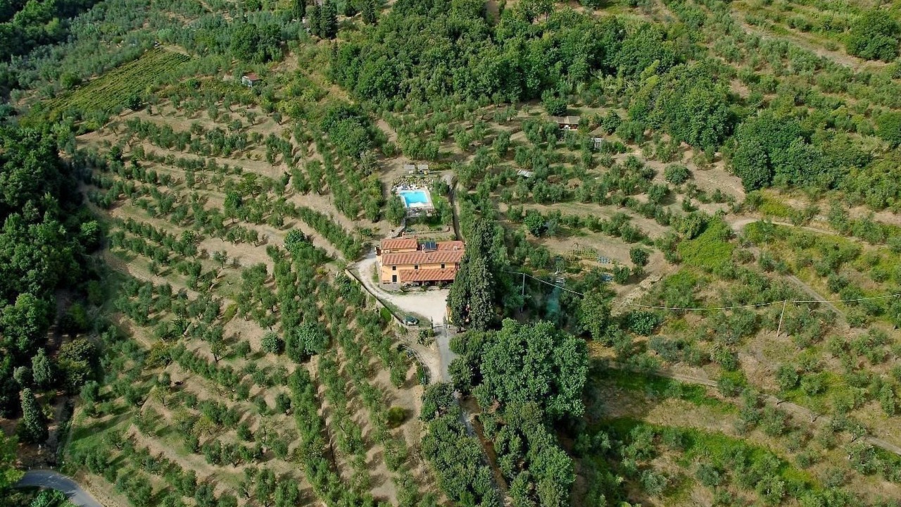 Photo of Others in Monsummano Terme