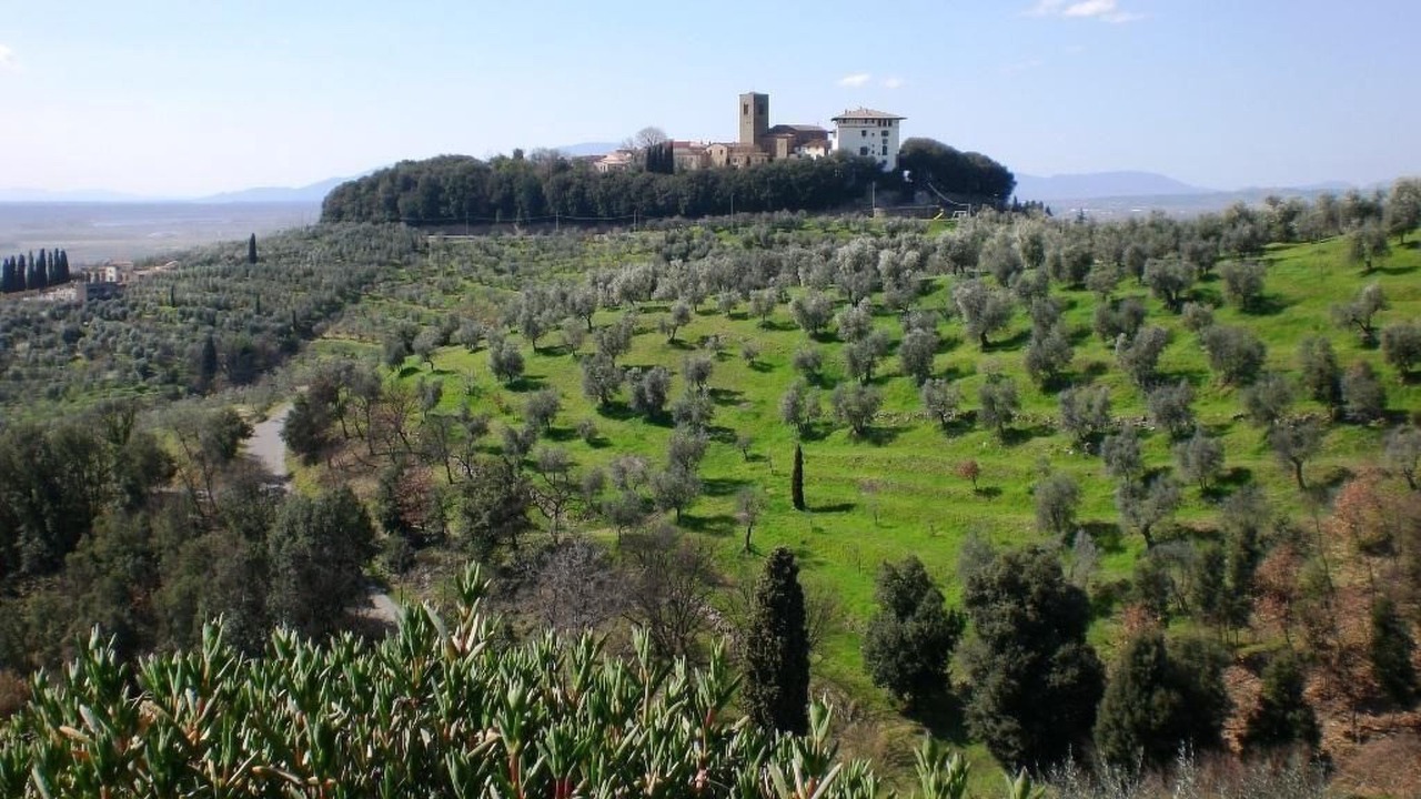 Photo of Others in Monsummano Terme