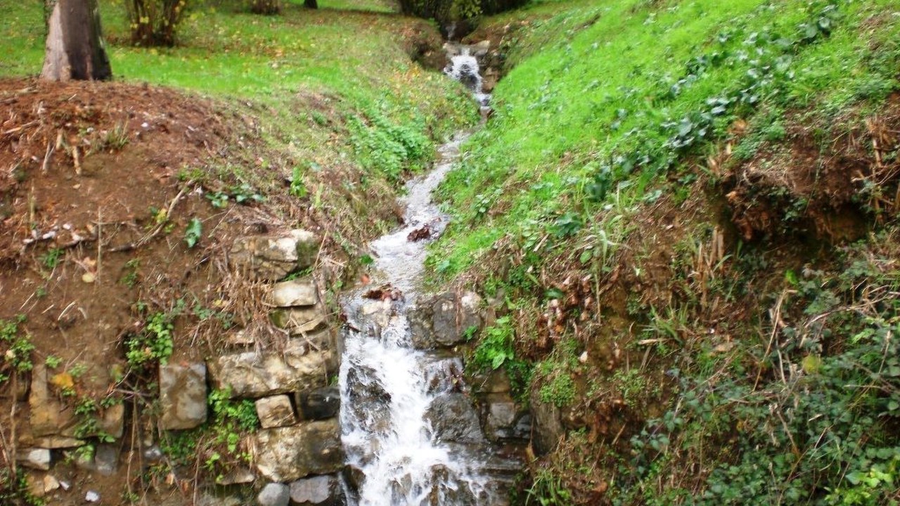 Photo of Others in Monsummano Terme