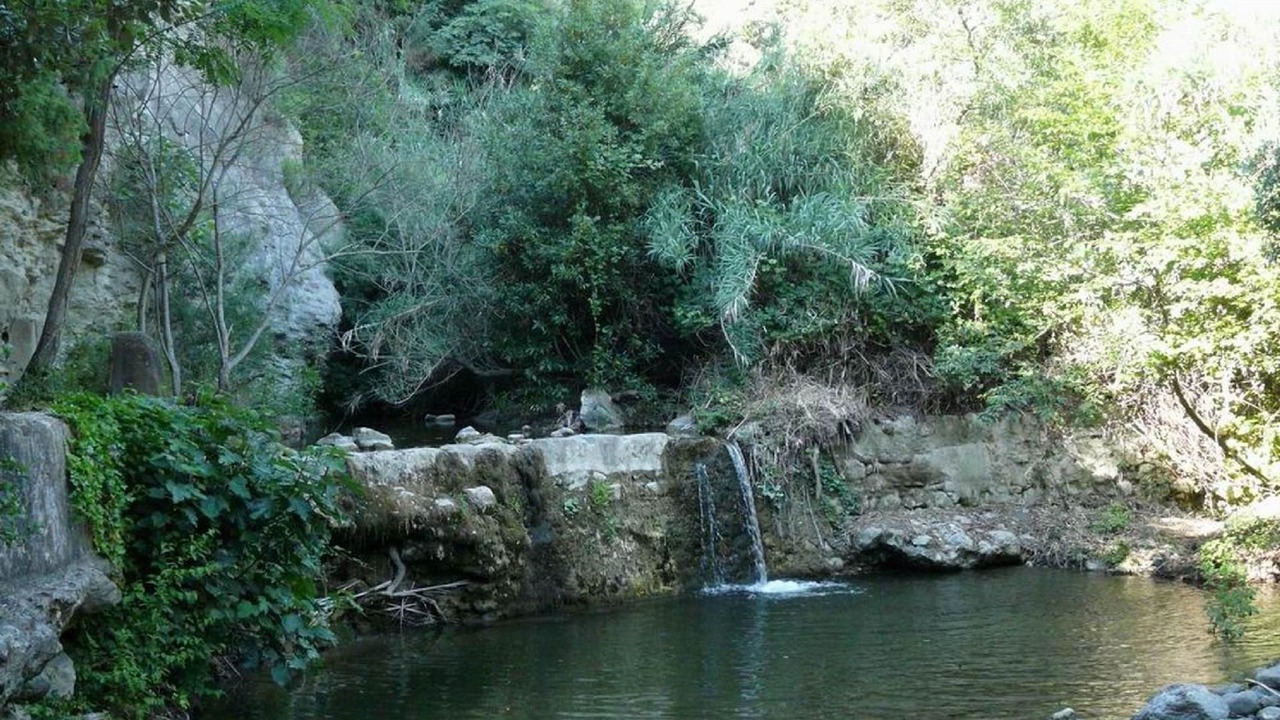 Photo of Others in Pomaia