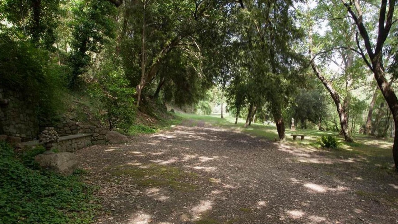 Photo of Others in Pomaia