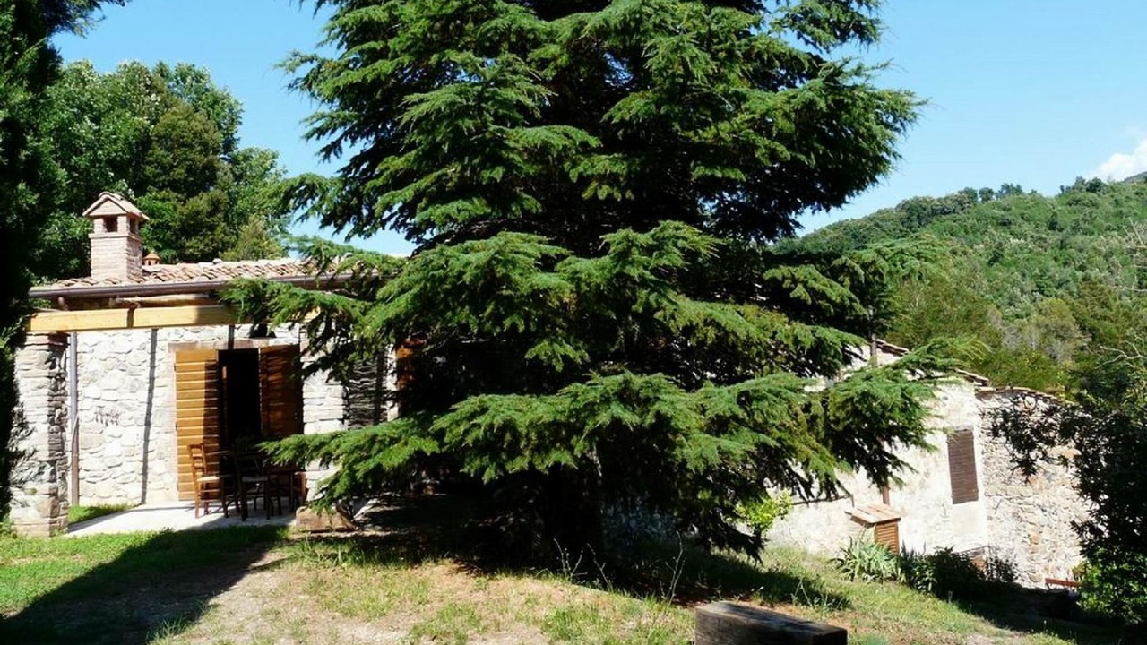 Photo of Others in Pomaia