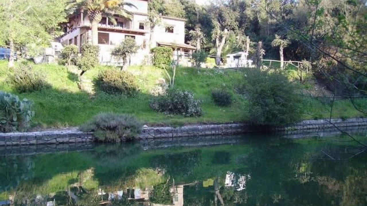 Photo of Others in Ansedonia