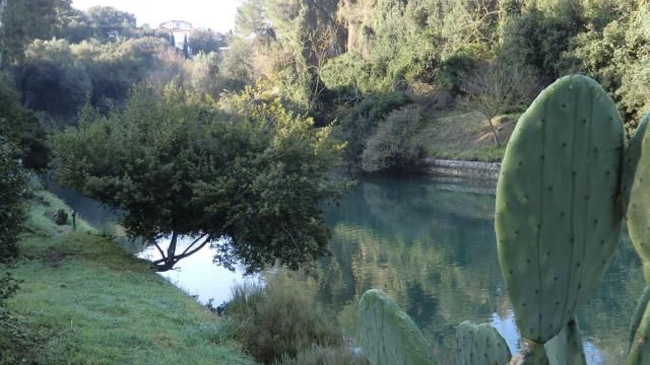 Photo of Others in Ansedonia