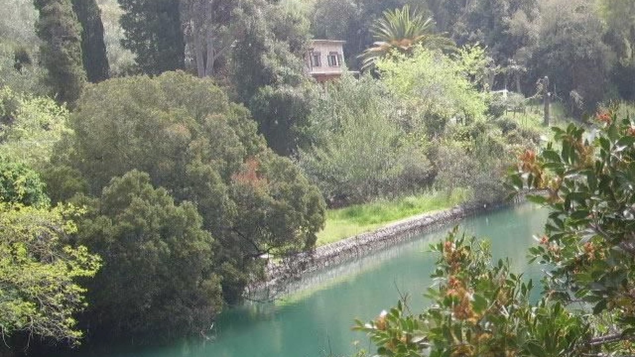 Photo of Others in Ansedonia
